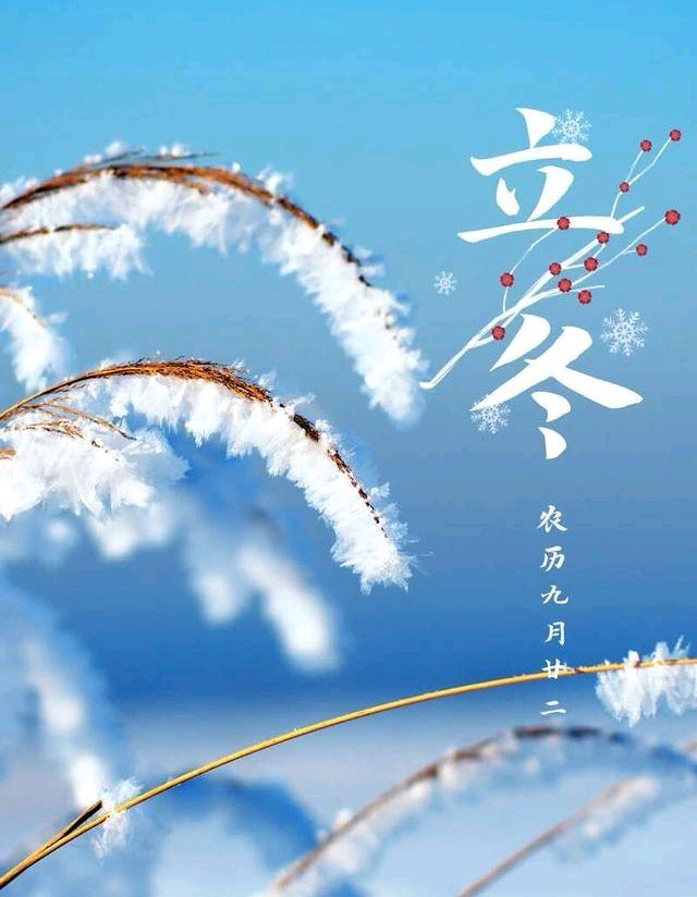 《蝶恋花组诗二十四节气》文/杨俊彦 诵读/青鸟 金南瑞雪丰年 【花雨馨声】有声文学平台【第99期】（图2）