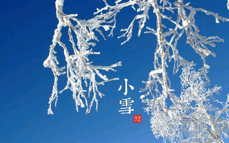 【北京头条】分享胡清普《鹧鸪天•小雪静默感怀》请欣赏（图4）