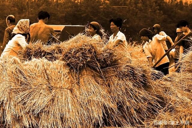 《中国爱情诗刊》【中国爱情诗人档案】（第5008期)甘肃诗人：东山再起的诗（图3）