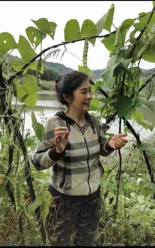 《首届诗与美食世界诗歌大赛》全球展（105）陶丹【追梦者总社】荐稿（图6）