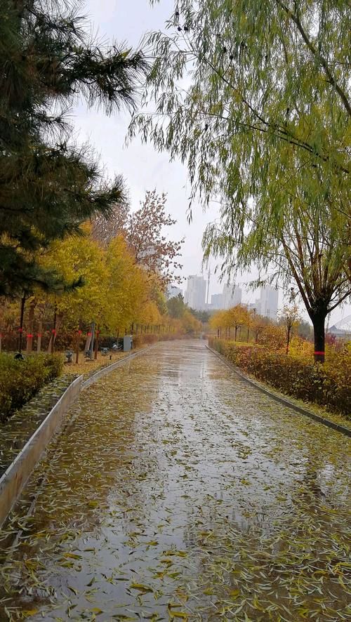 《冬初阴雨天》作者:易生诗梦【主播:长弓雅士】【桃源国际诗歌集团】用声音传递温暖以诵读致敬人生♬（图5）