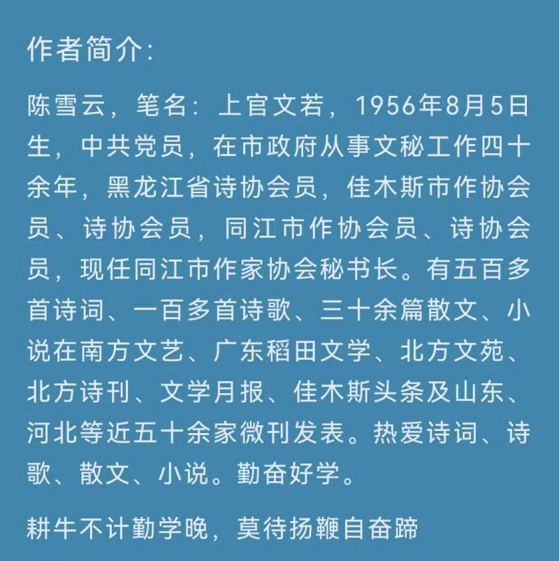 【金榜头条】分享（黑龙江）优秀诗人作家陈雪云《广场冰雪雕》请欣赏（图9）