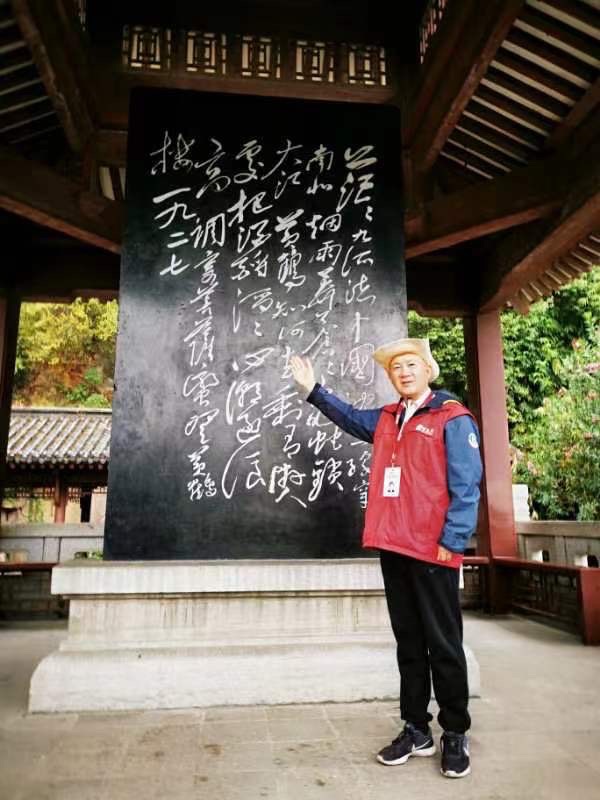 看球——世界杯德国与日本小组赛,作者:周智敏