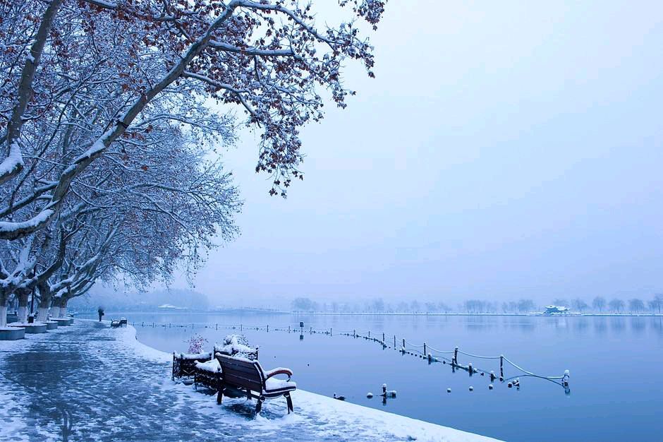 *小雪*文／孤独与快乐〔西安〕【冰心文化传媒】主编 冰心（图3）