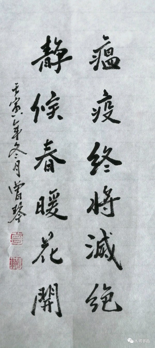 艺同抗疫 勇毅前行——聊城市书画研究会抗疫作品展（图39）