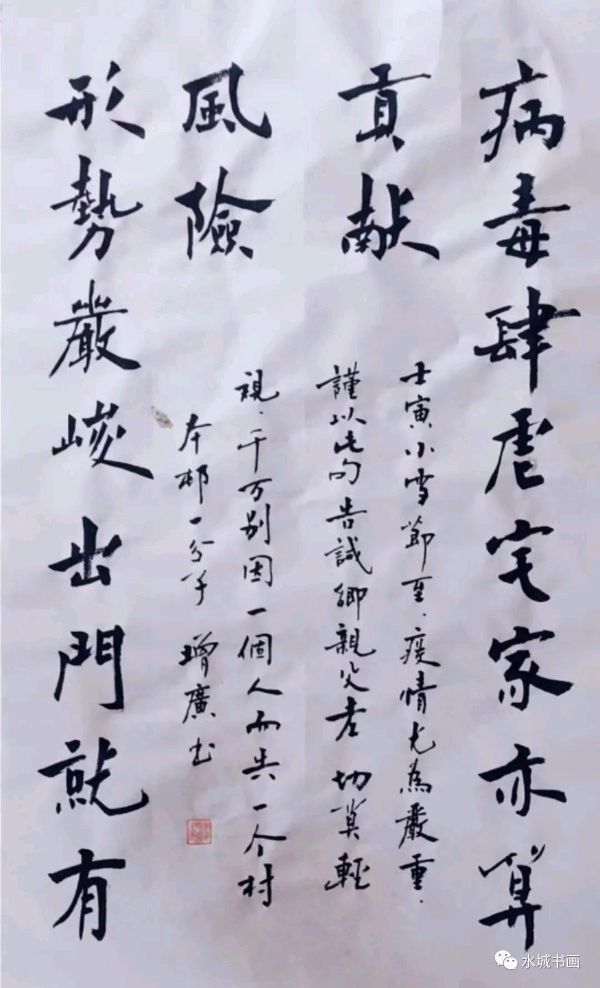 艺同抗疫 勇毅前行——聊城市书画研究会抗疫作品展（图45）