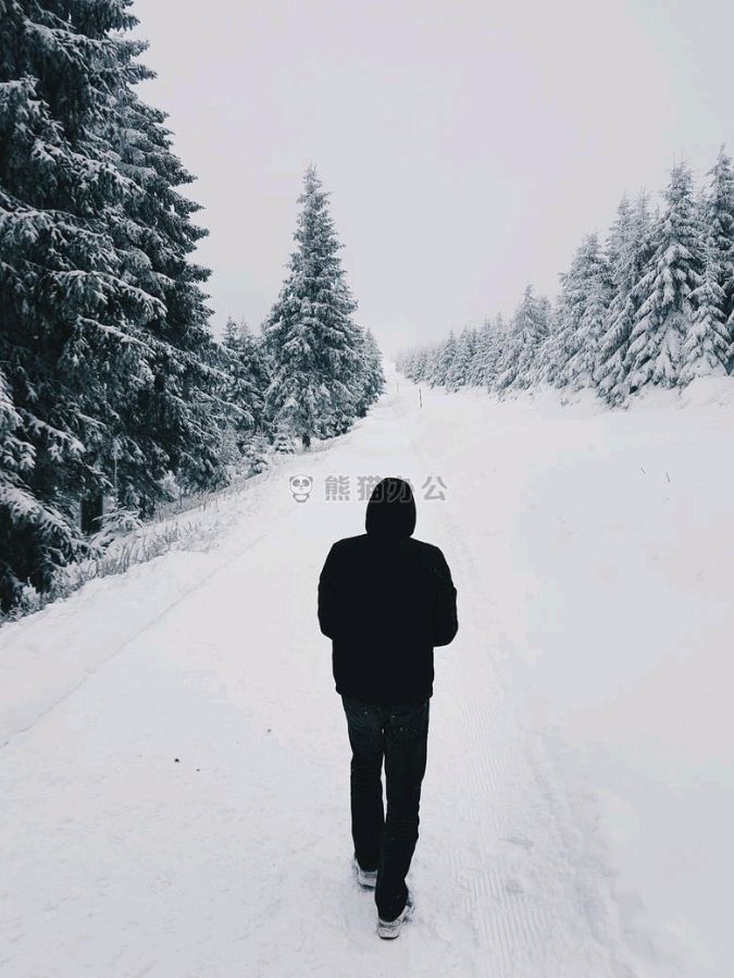 《在心里下一场雪》作者:石沉【主播:梦醒群岚】【桃源国际诗歌集团】用声音传递温暖以诵读致敬人生♬（图6）
