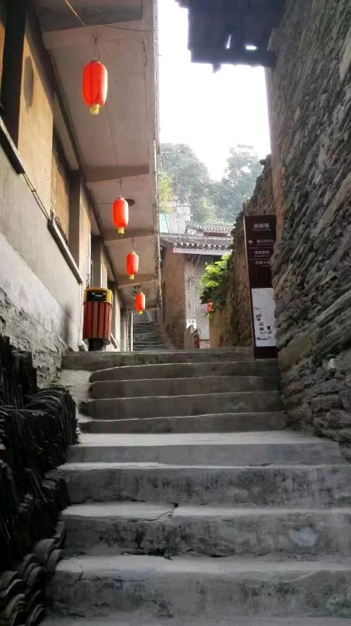《故乡的狮子柑很甜》作者:苏红【主播:青苗】【桃源国际诗歌集团】用声音传递温暖以诵读致敬人生♬（图9）