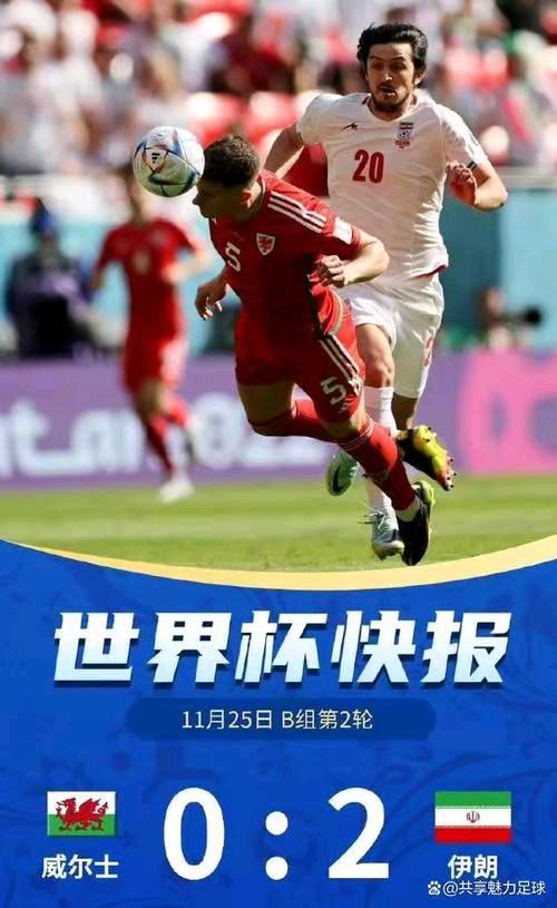 冯志清〔上海〕世界杯看球之17～20【冰心文化传媒】（图5）