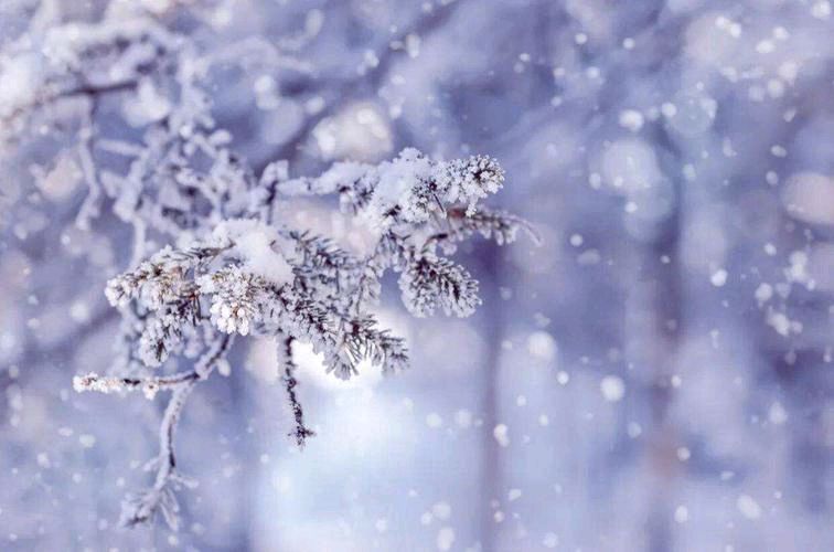 《感悟》作者:雪原(吉林)【主播:燕子】【桃源国际诗歌集团】用声音传递温暖以诵读致敬人生♬（图6）