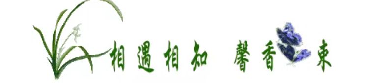 第七十四期 柳韵诗社每日古诗诵读(87)(图6)