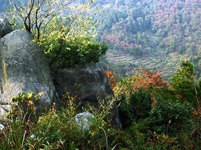 〖诗词小辑〗作者 张良富（江西）【冰心文化传媒】（图4）