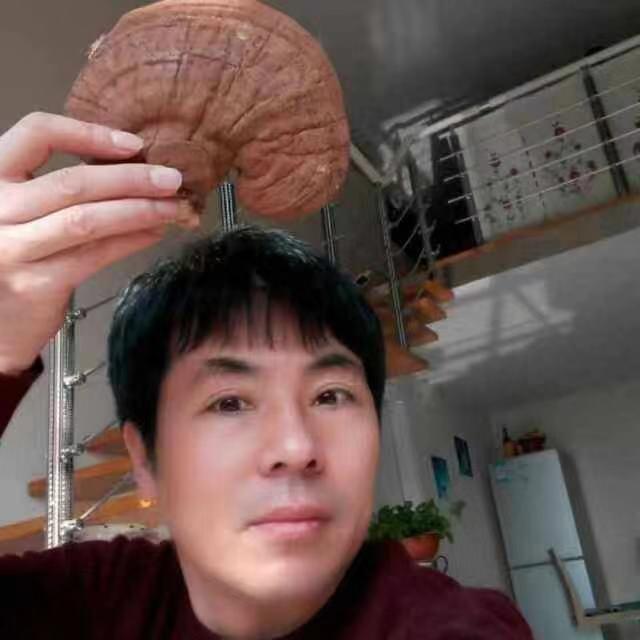 【中国齐鲁风】分享南浦云《灵芝治愈脑瘤颂》外文言文一篇请欣赏(图8)