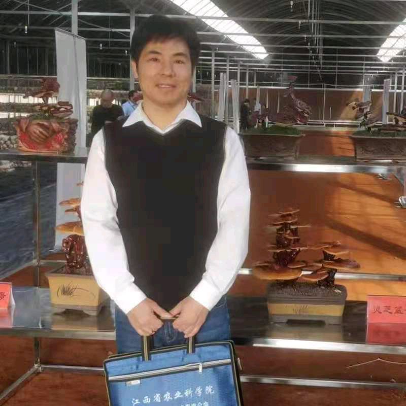 【中国齐鲁风】分享南浦云《灵芝治愈脑瘤颂》外文言文一篇请欣赏(图10)