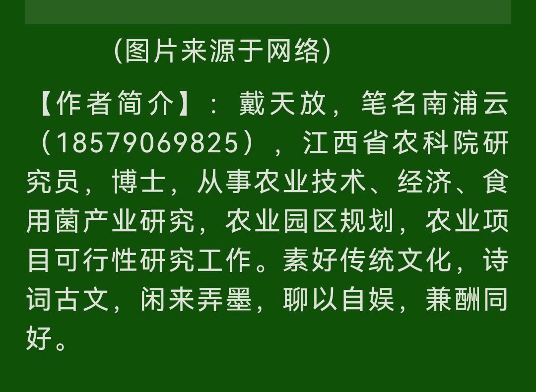 【中国齐鲁风】分享南浦云《灵芝治愈脑瘤颂》外文言文一篇请欣赏(图9)