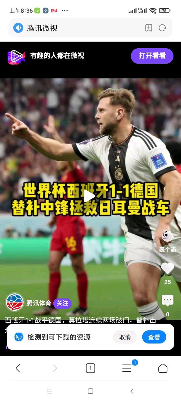 冯志清（上海）世界杯看球之25~28【冰心文化传媒】（图31）