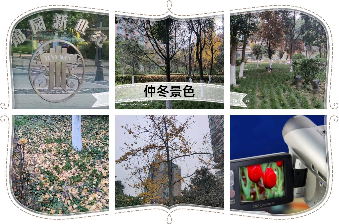 〖锦园生活·纪事〗〔选編之二十四〕（图2）