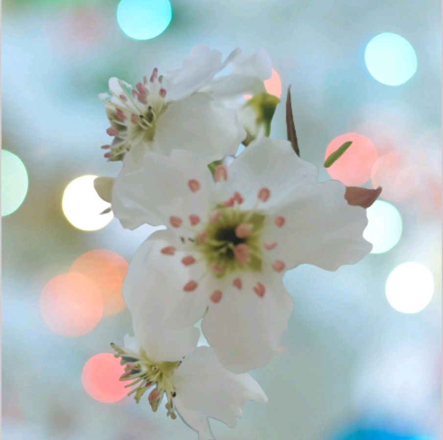 七绝、风 花 雪 月/文/梅花三弄（图3）