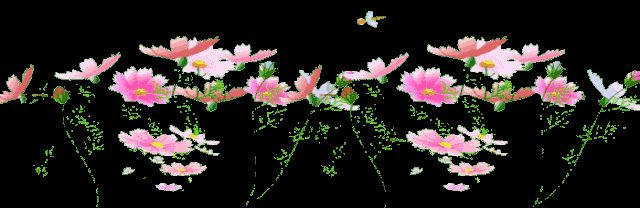 七绝、风 花 雪 月/文/梅花三弄