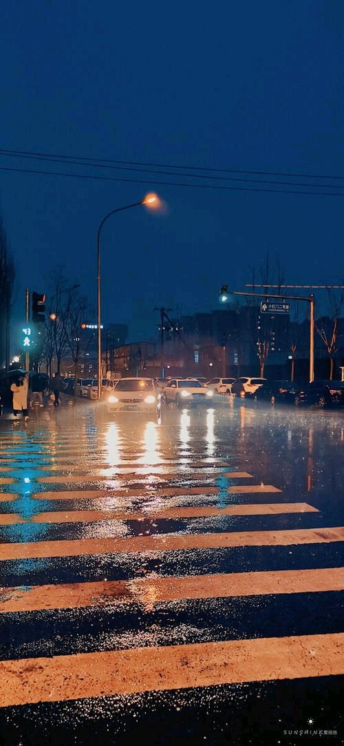 《今夜，长出来的是细雨》作者:龙尤【主播:玥儿】【桃源国际诗歌集团】用声音传递温暖以诵读致敬人生♬（图7）