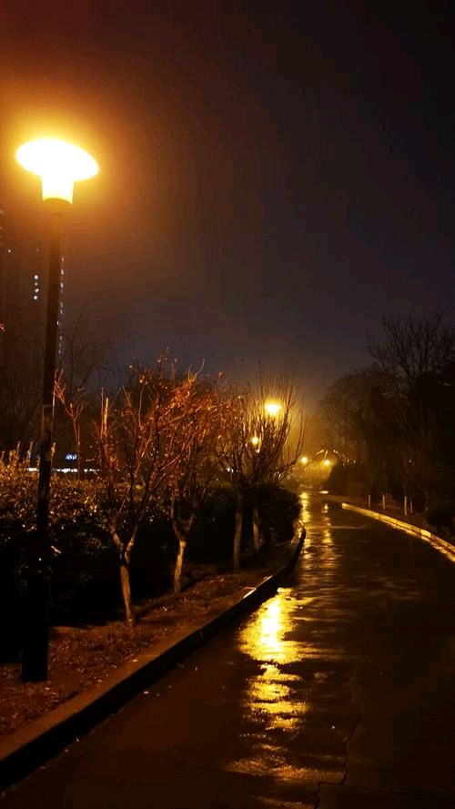 《今夜，长出来的是细雨》作者:龙尤【主播:玥儿】【桃源国际诗歌集团】用声音传递温暖以诵读致敬人生♬（图5）