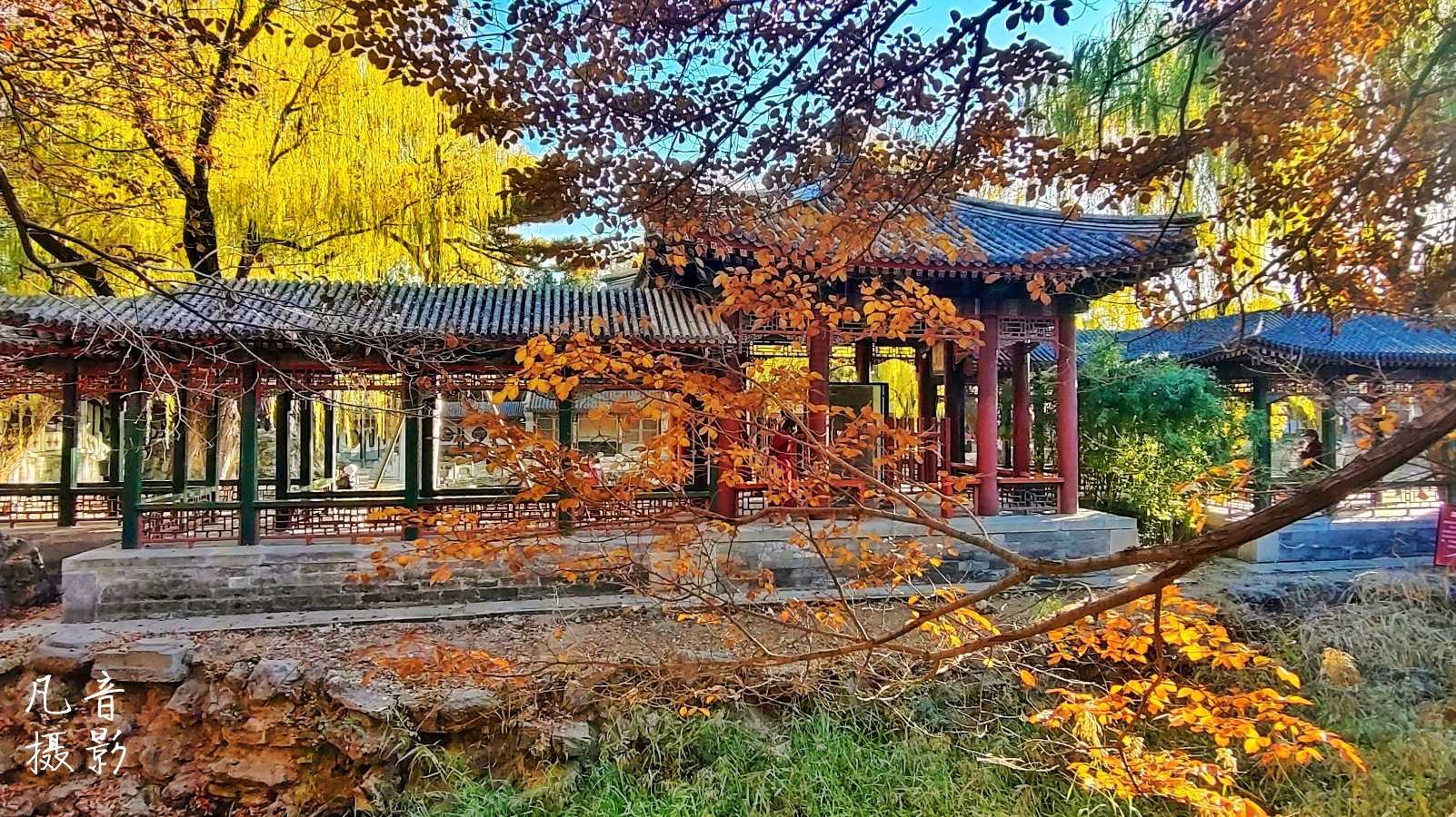 雪衡朗诵《当枫叶红了的时候》作者：晓江 银龄朗诵艺苑（图3）