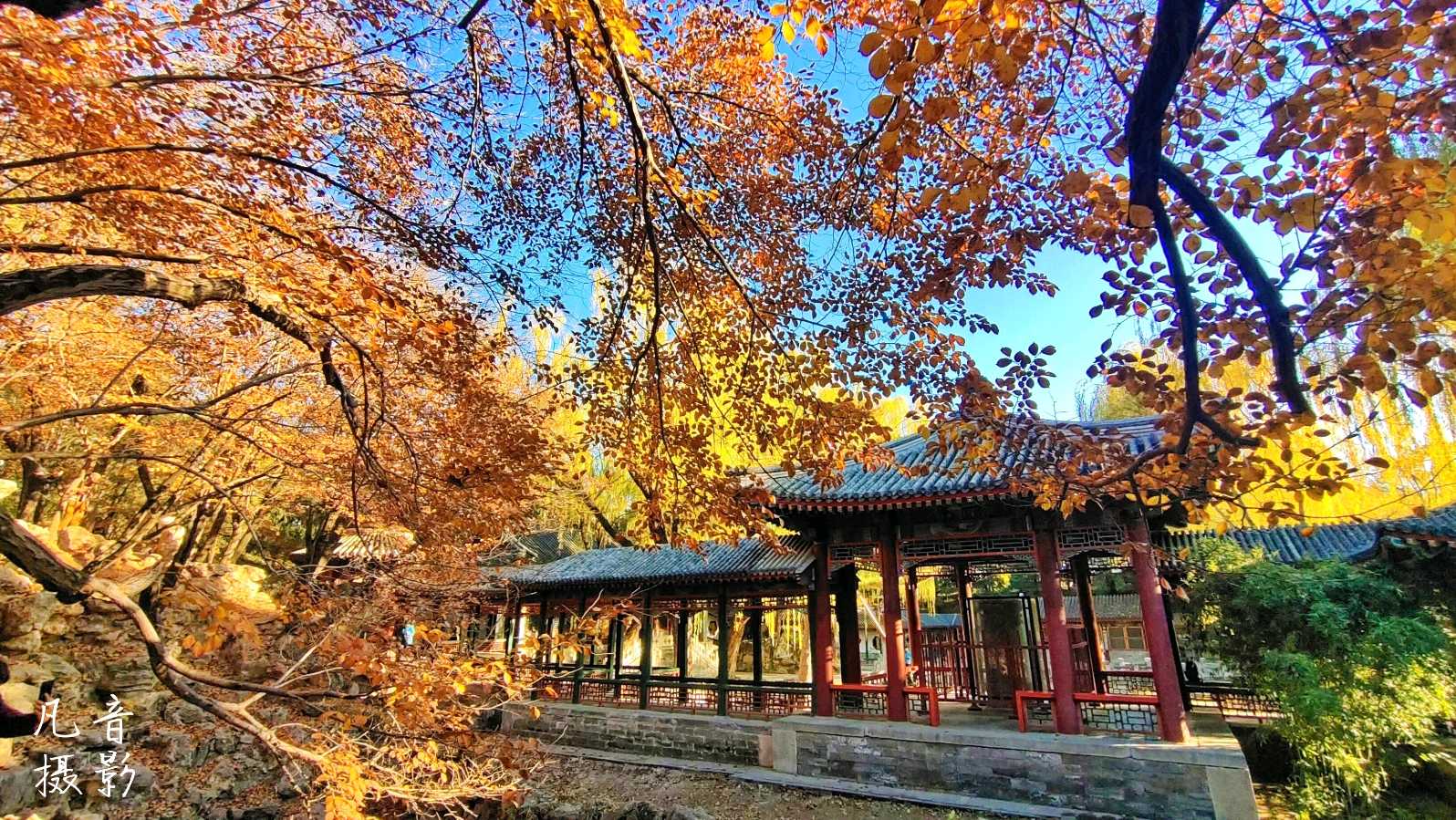 雪衡朗诵《当枫叶红了的时候》作者：晓江 银龄朗诵艺苑（图6）