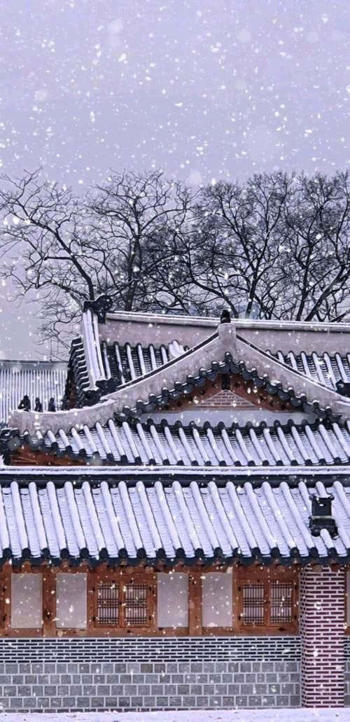 《冷清的冬天》作者:张超我【主播:鹏鹤】【桃源国际诗歌集团】用声音传递温暖以诵读致敬人生♬（图6）