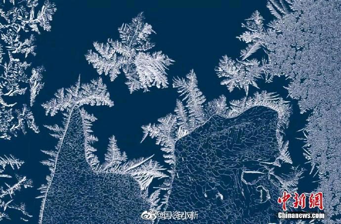 【华夏名篇】分享（黑龙江）优秀作家 诗人陈雪云老师七绝四首请欣赏（图6）