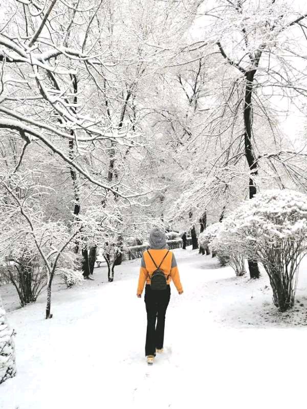 《雪多么安静》作者/莫先生 诵读/瑞雪丰年编辑/五指山【花雨馨声】有声文学平台【第117期】（图3）