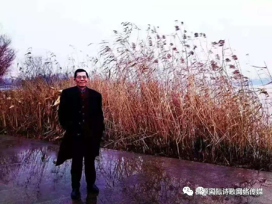《哑光》作者:林野(武汉)【主播:青苗】【桃源国际诗歌集团】用声音传递温暖以诵读致敬人生♬（图9）