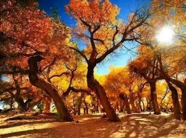 【上海头条】诗生活‖微诗专栏14期‖看图写诗（图2）