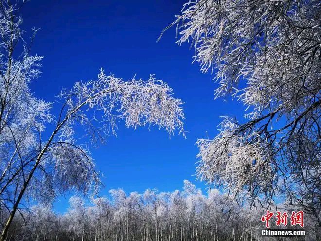 欣赏李胜峰老师佳作专辑:《我爱家乡专辑律绝诗三十首》(图7)