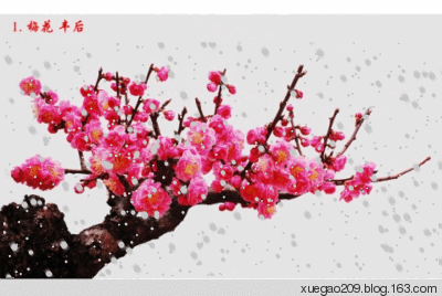 五绝•冬梅 齐宪(黑龙江)【冰心文化传媒】主编冰心（图3）