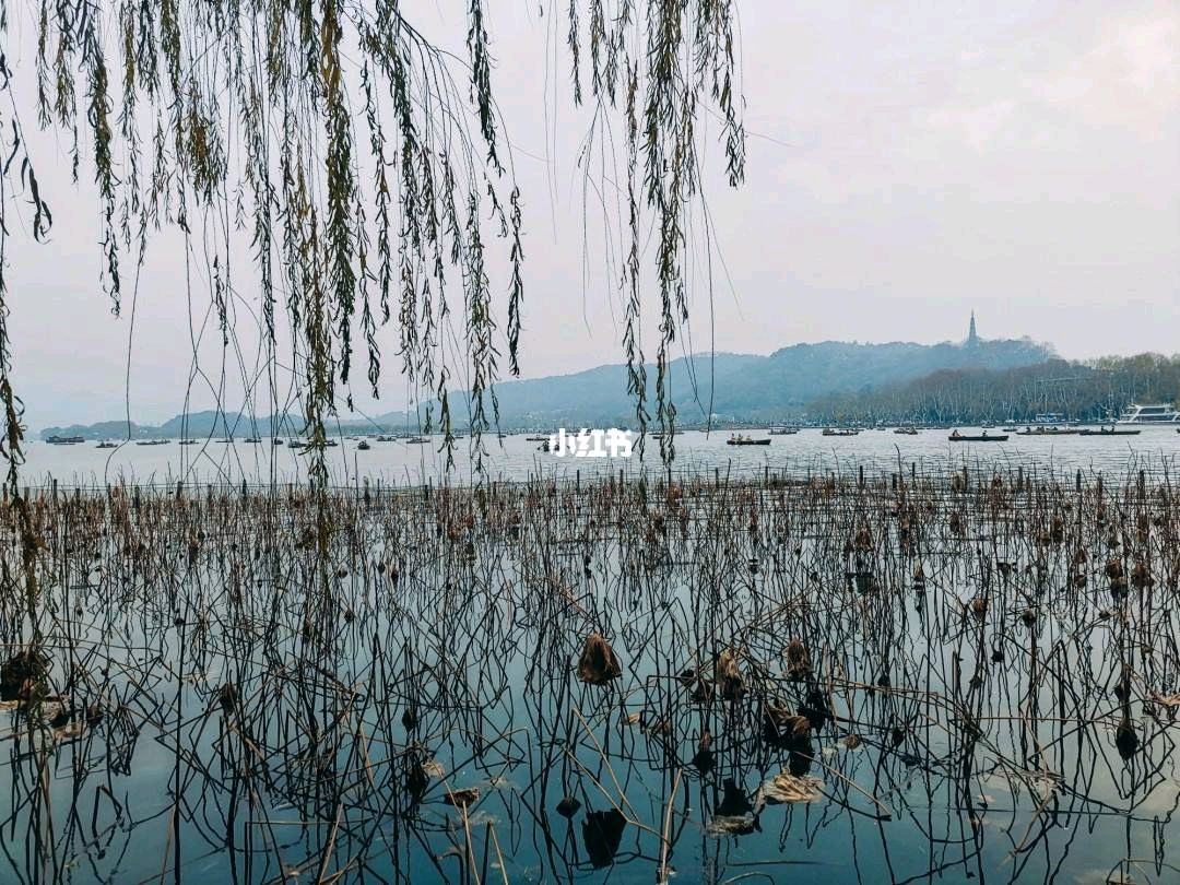 【潇湘文学社】潇湘如兰诗社《总501期》(冬日揽胜)(图6)