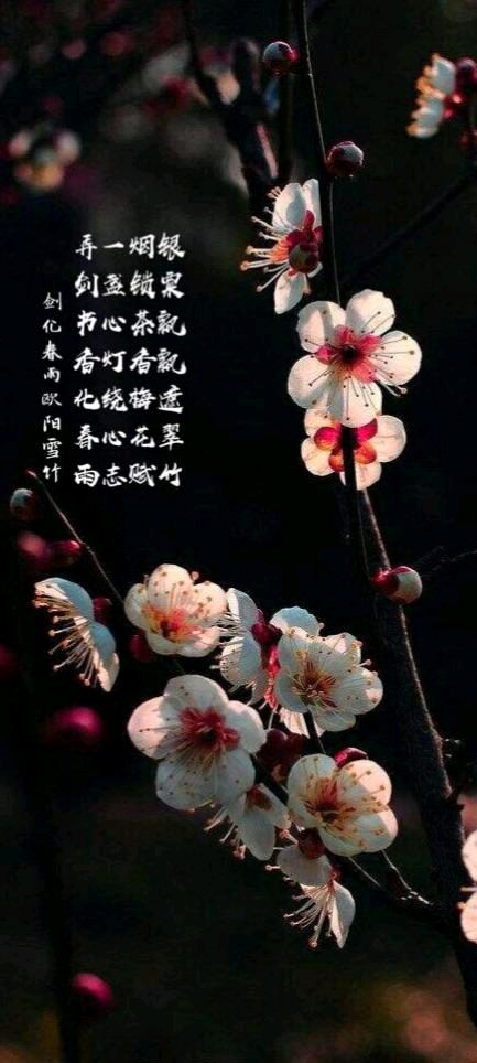 【华夏名篇】分享（四川）优秀诗人王三禹老师诗词两首请欣赏（图11）