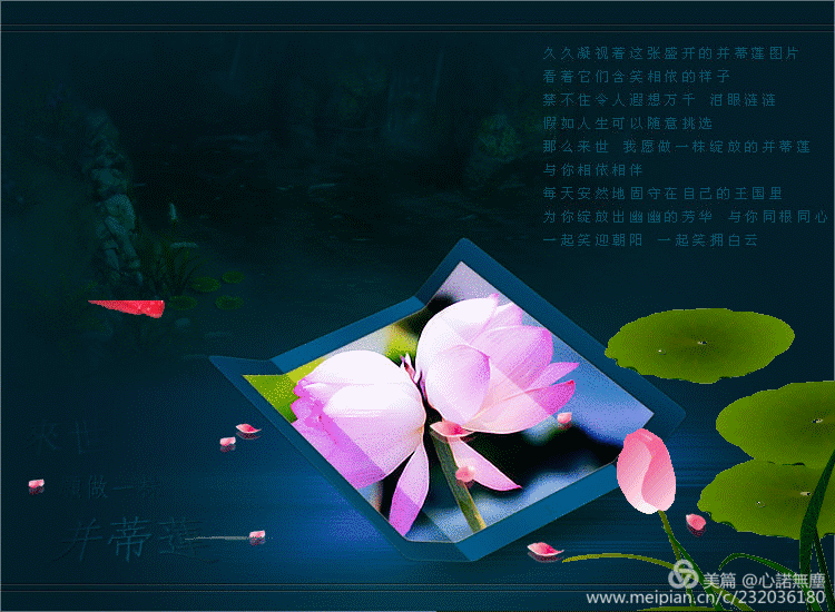 〖诗词小辑〗作者 王新华（一片云）河北【冰心文化传媒】（图4）
