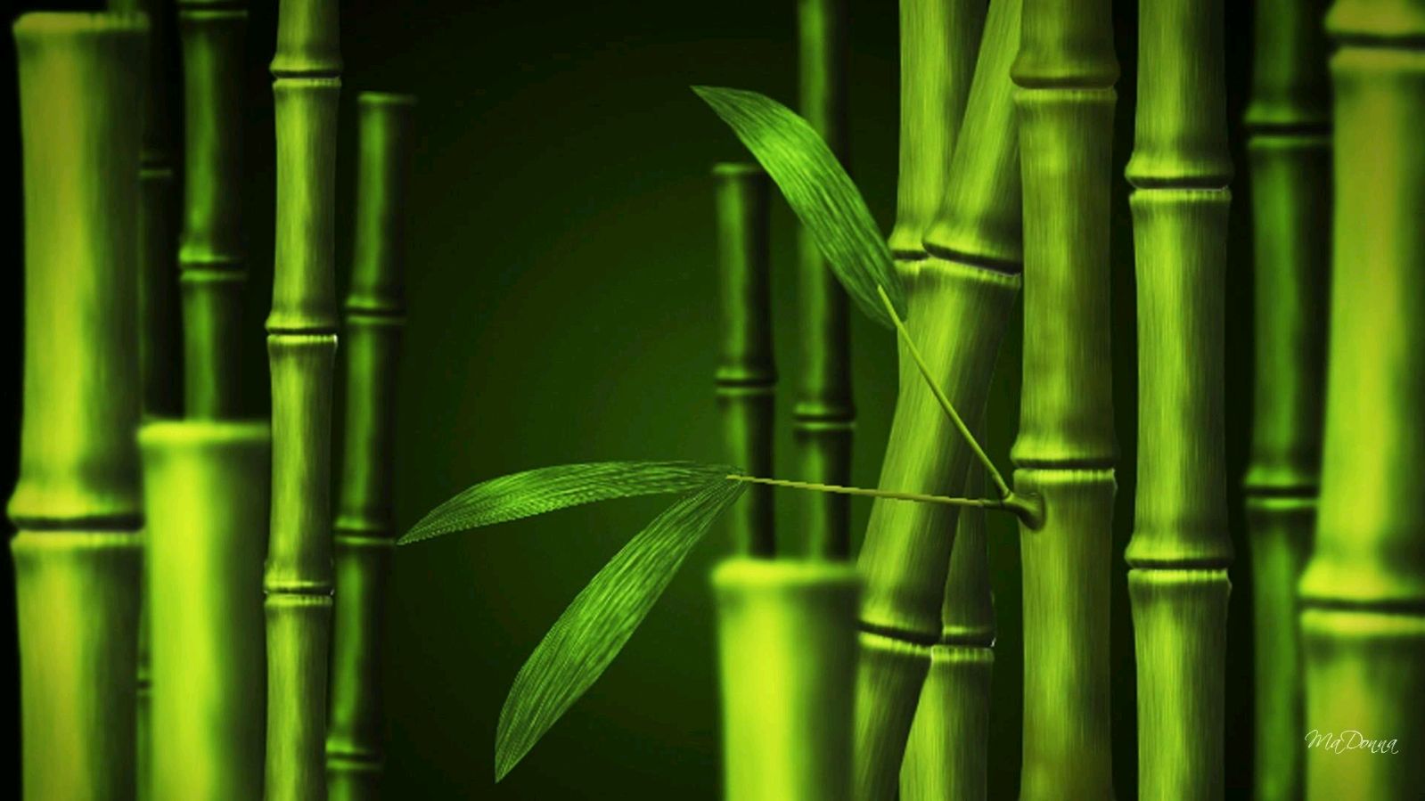 【潇湘文学社】潇湘陶菊诗社《总503期》(竹)(图7)