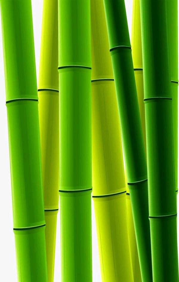 【潇湘文学社】潇湘陶菊诗社《总503期》(竹)(图9)