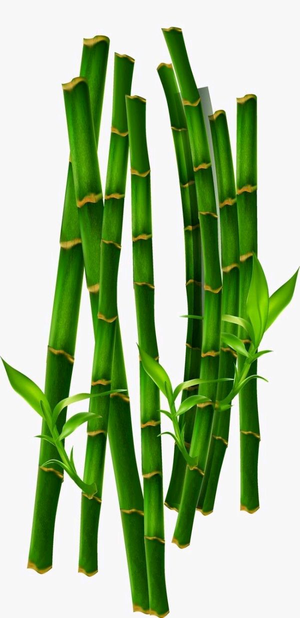 【潇湘文学社】潇湘陶菊诗社《总503期》(竹)(图10)