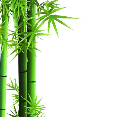 【潇湘文学社】潇湘陶菊诗社《总503期》(竹)(图22)
