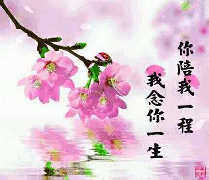 我为什么昼夜把你想起（外三首）刘水清（湖北）【冰心文化传媒】（图6）