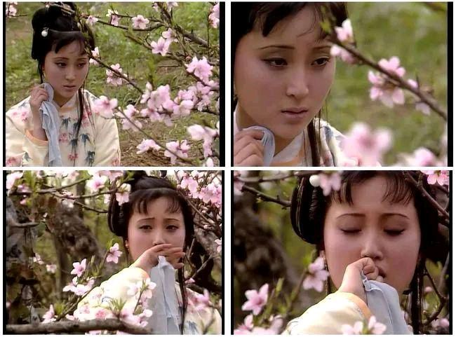 《红楼梦》系列之八十组（第91至100回）13首 平水韵*中华新韵 孙春红 山东【冰心文化传媒】（图23）