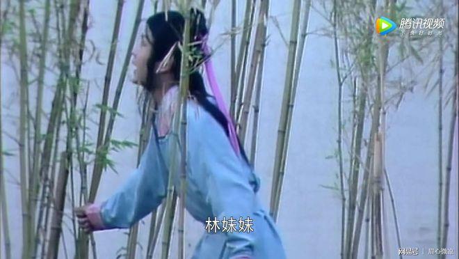 《红楼梦》系列之八十组（第91至100回）13首 平水韵*中华新韵 孙春红 山东【冰心文化传媒】（图28）