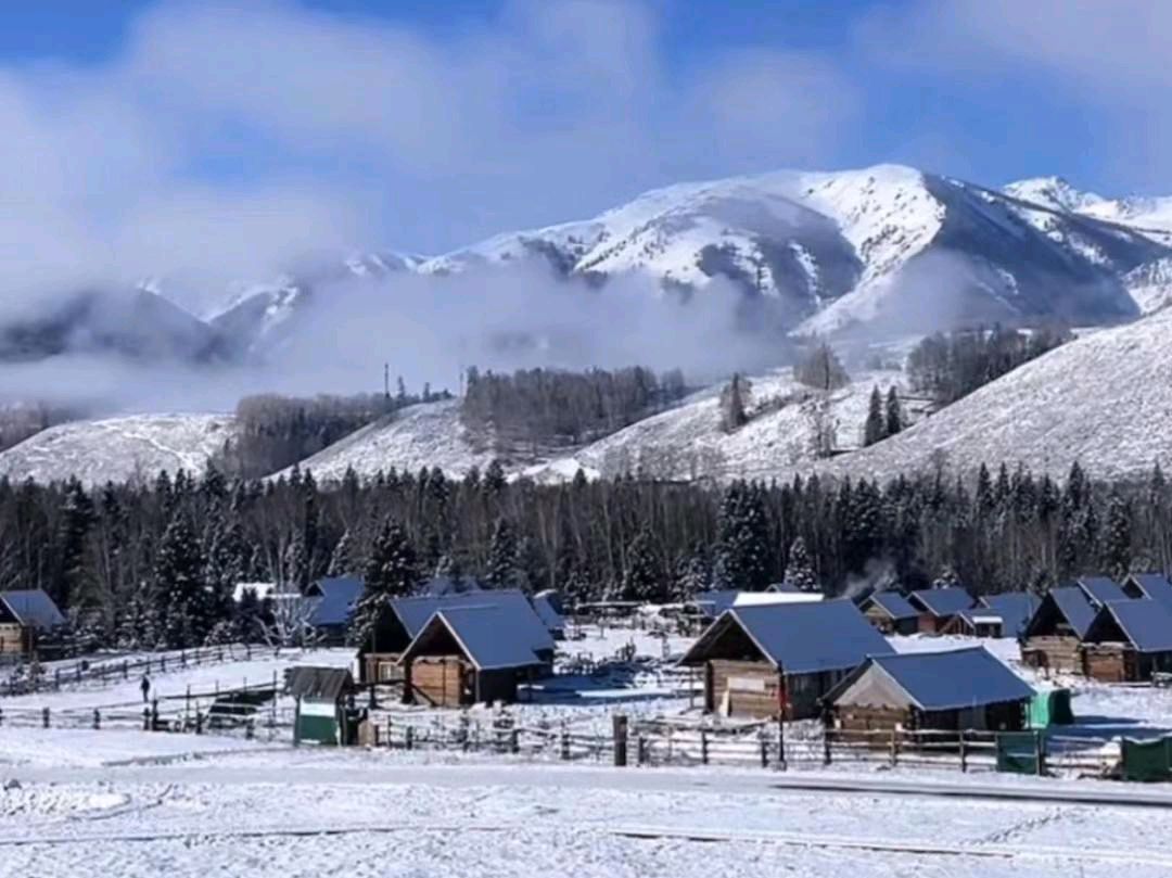【华夏名篇】分享（黑龙江）优秀作家诗人陈雪云《五律•雪景》请欣赏（图5）