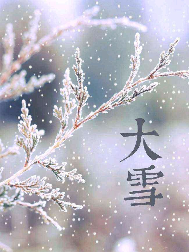 【枫雅汇看图约诗】诗人陈江《201期》（大雪诗词三首）（图5）