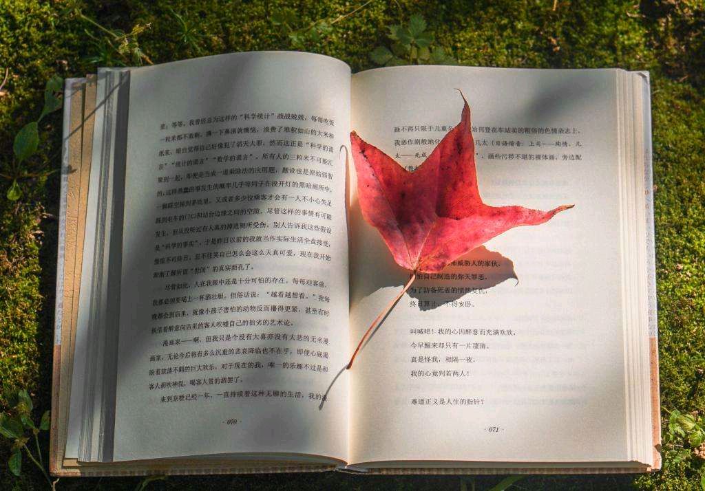《十月的枫树林》作者/春韵 诵读/青鸟 编辑/五指山【花雨馨声】有声文学平台【第135期】（图3）