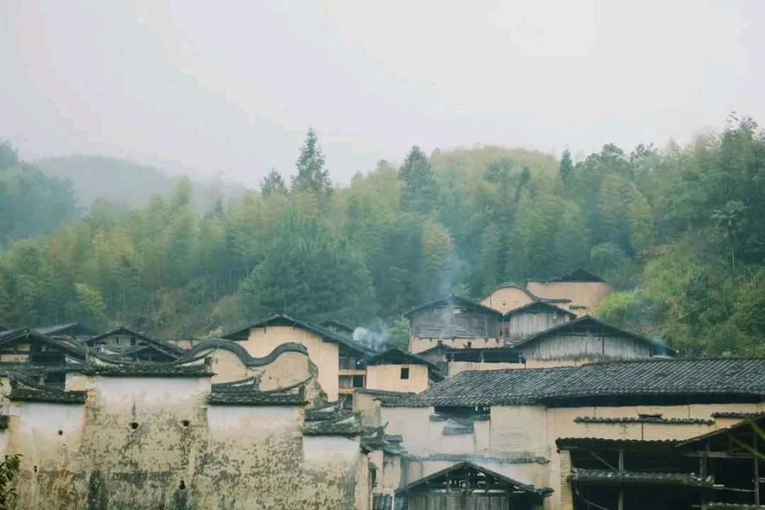 【上海头条】诗生活‖微诗专栏16期（图2）