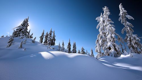 【潇湘文学社】潇湘如兰诗社《总507期》（雪）（图6）