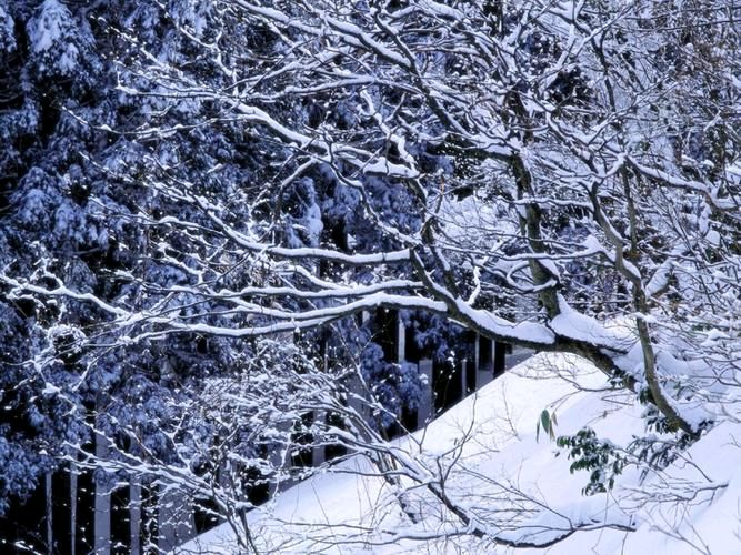 【潇湘文学社】潇湘如兰诗社《总507期》（雪）（图7）